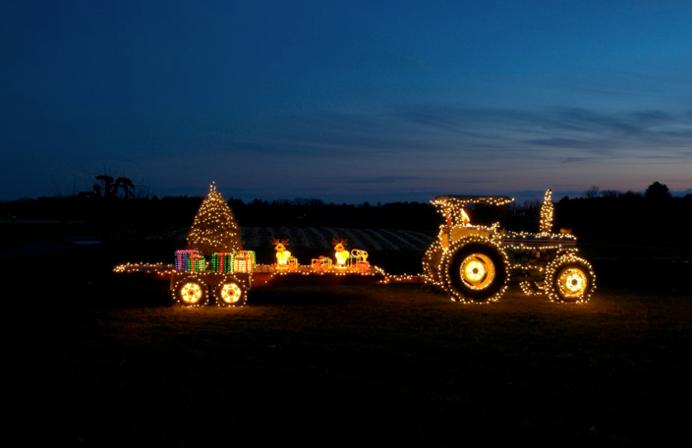 Bush Christmas Lights