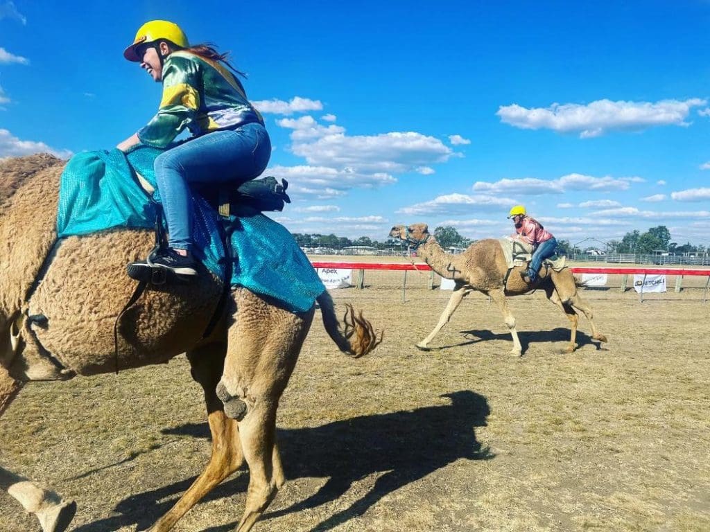 Jockeys at the Wandoan Camel Races